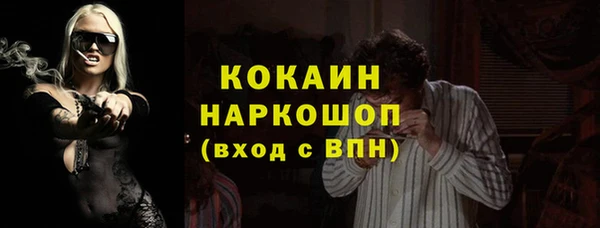 PSILOCYBIN Волосово