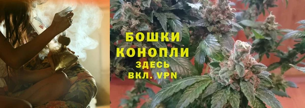 PSILOCYBIN Волосово